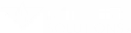 Mesa Solutions