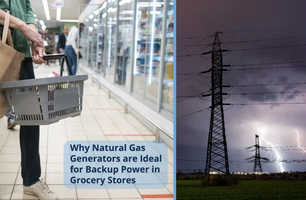 Grocery Store Freezer Aisle on the Left Side, Electrical Storm on the Right Side - Need for Backup Power for Grocery Stores