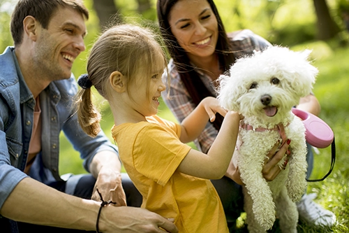 Happy family playing with their dog.